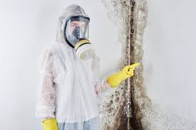 Reliable Brookville, NY Mold Removal Solutions